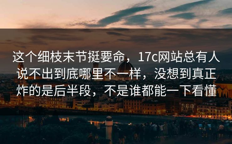 这个细枝末节挺要命，17c网站总有人说不出到底哪里不一样，没想到真正炸的是后半段，不是谁都能一下看懂