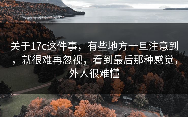 关于17c这件事，有些地方一旦注意到，就很难再忽视，看到最后那种感觉，外人很难懂