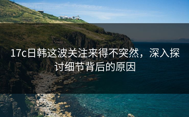 17c日韩这波关注来得不突然，深入探讨细节背后的原因