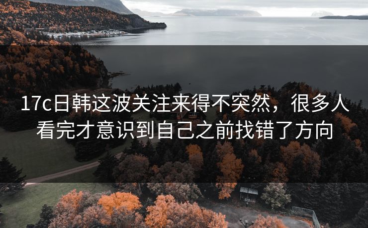 17c日韩这波关注来得不突然，很多人看完才意识到自己之前找错了方向