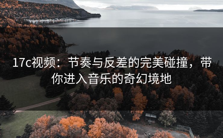 17c视频：节奏与反差的完美碰撞，带你进入音乐的奇幻境地