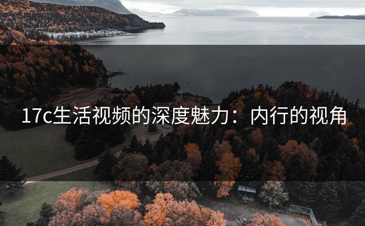 17c生活视频的深度魅力：内行的视角