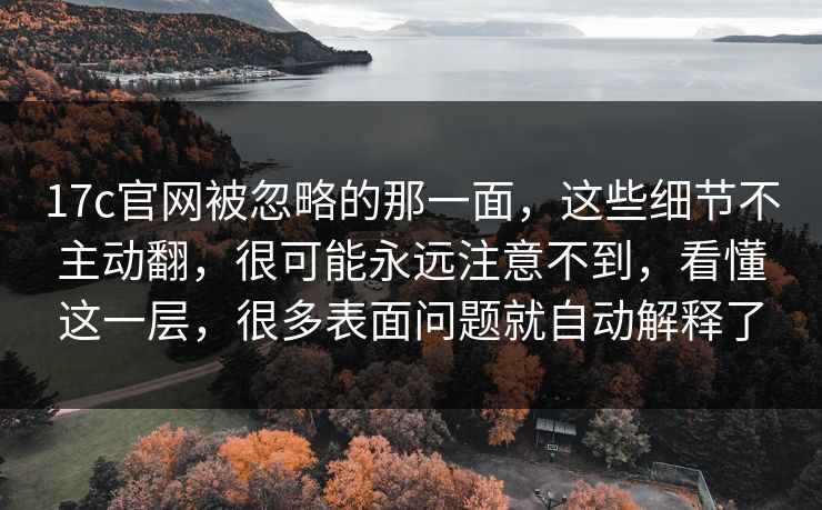 17c官网被忽略的那一面，这些细节不主动翻，很可能永远注意不到，看懂这一层，很多表面问题就自动解释了