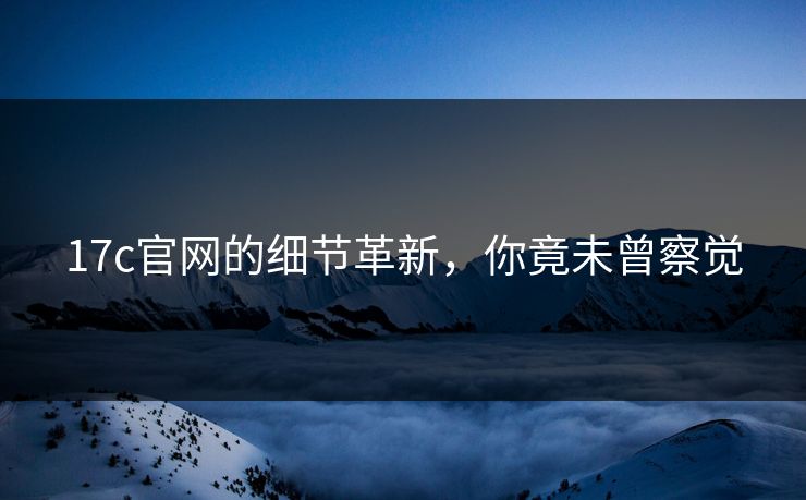 17c官网的细节革新，你竟未曾察觉