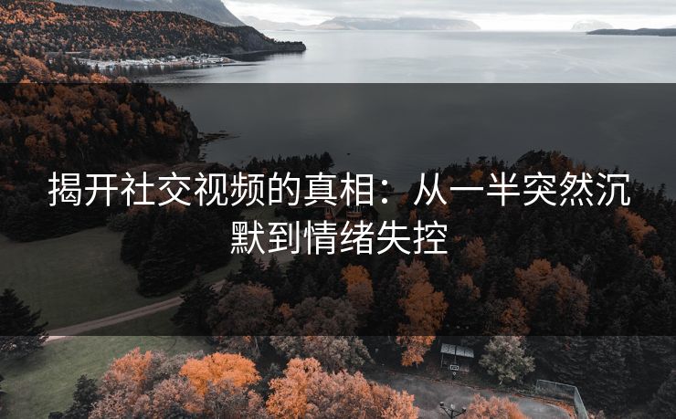 揭开社交视频的真相：从一半突然沉默到情绪失控